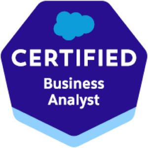 Business Analyst