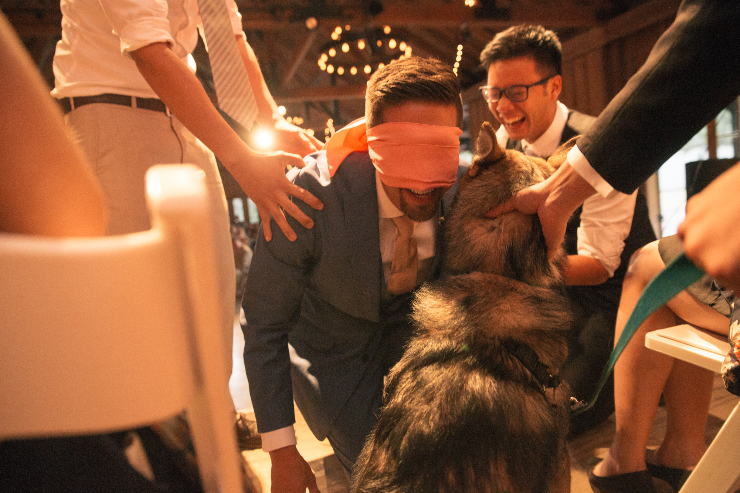 Reception-85.jpg