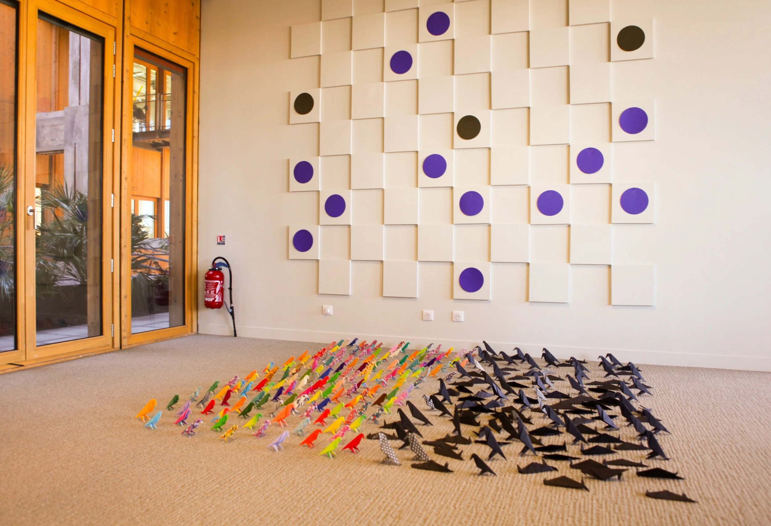 Parrot and crows II 2018 installation (CNEAI)