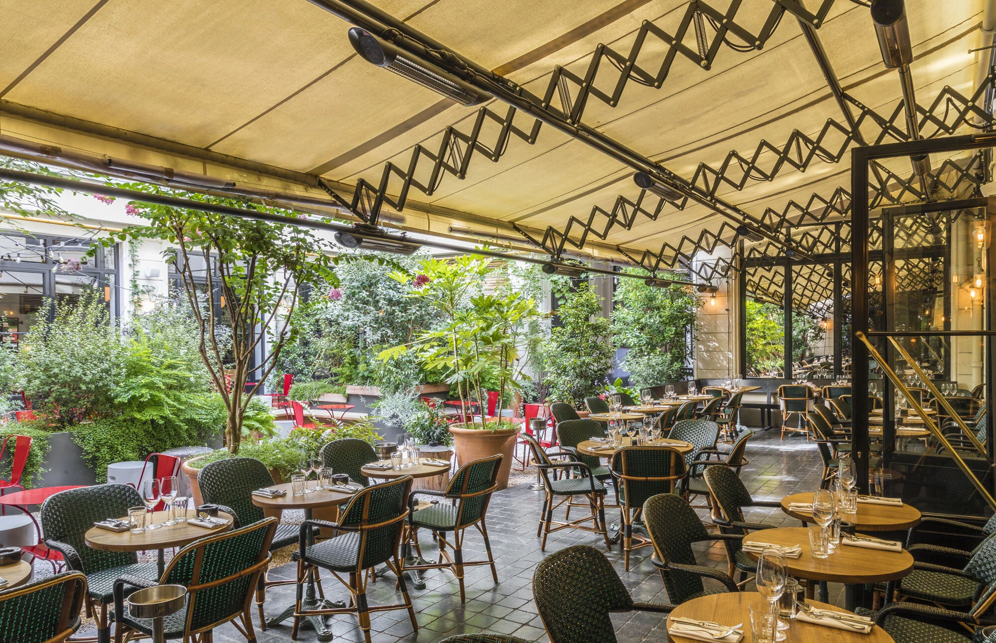 Bambou — Bambou Paris