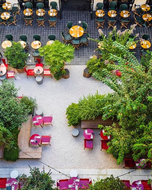 REOPENING 📣
La terrasse et le jardin de BAMBOU vous accueillent &agrave; nouveau &agrave; partir de ce jeudi !
Heureux de vous retrouver apr&egrave;s 78 jours ! 
Let&rsquo;s celebrate 🍾