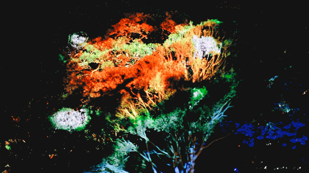 vivid, vivid sydney, light, movement
