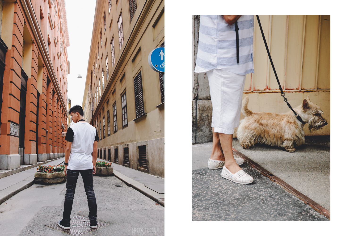 Street photography, small dog, dog, alleyway, dramatic posing