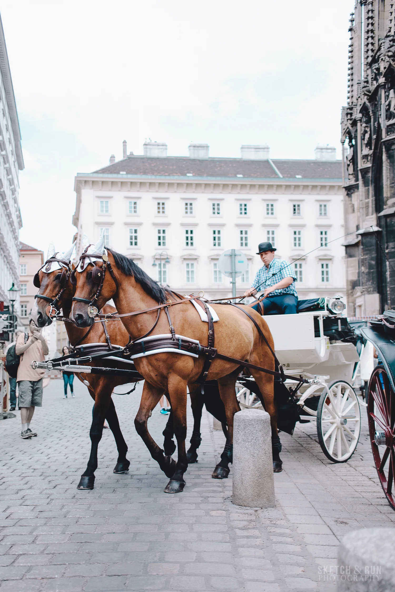St Stephens Cathedral, mozart, street photography, vienna, austria, horses