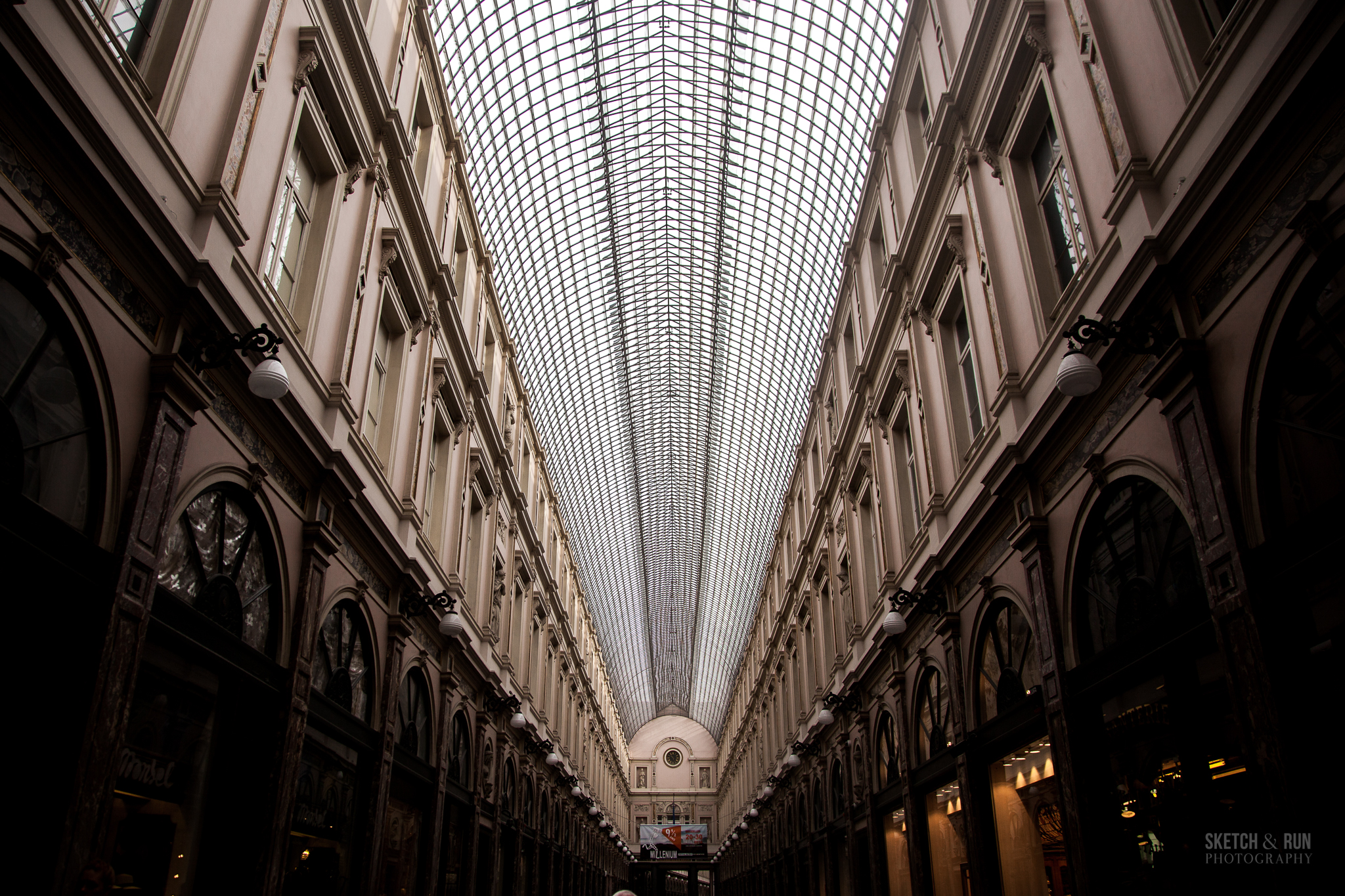 brusselsh-4.jpg