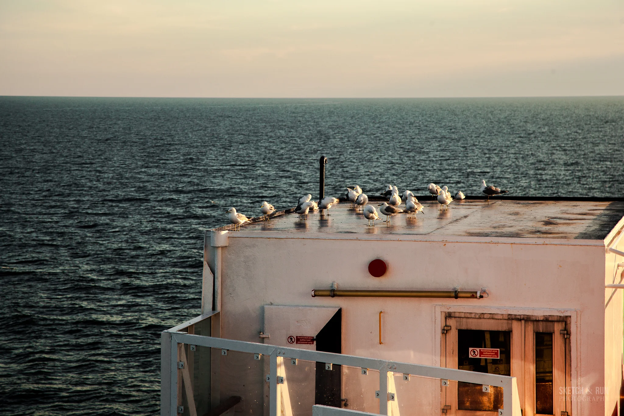 cruise-20.jpg