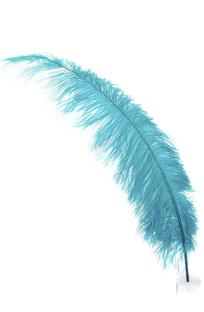 feather-03.jpg