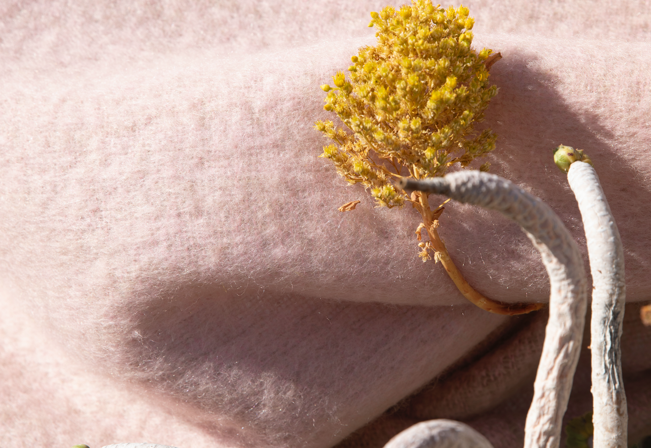 Screenshot 2024-04-01 at 23.44.37.png