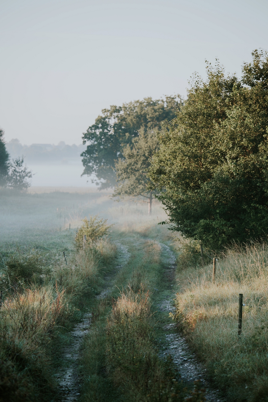 misty summer morning | Aero, Denmark | Get married in Denmark