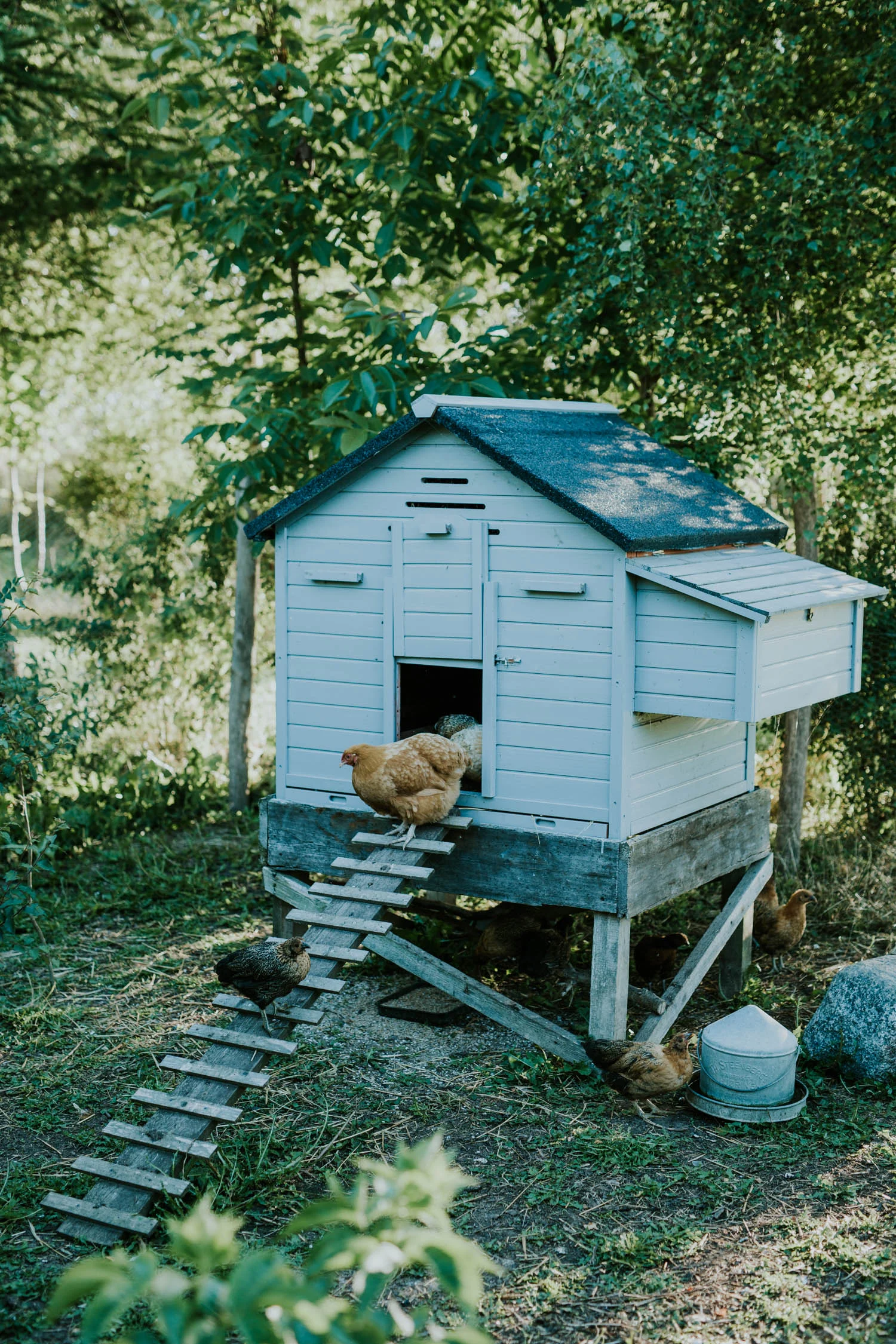 harming-blue-garden-shed-aeroe.jpg