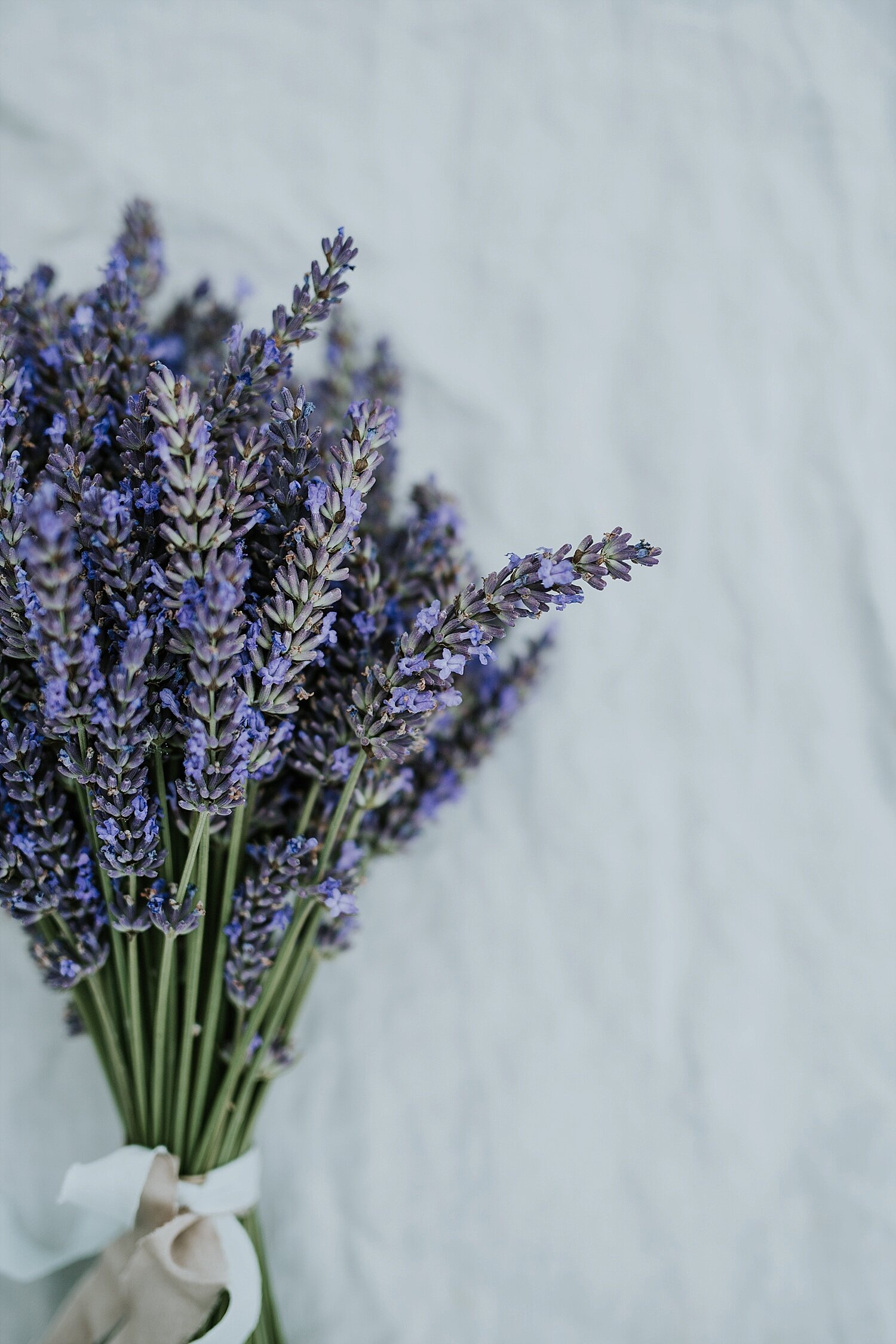 lavender-wedding-flower-inspiration (7).jpg