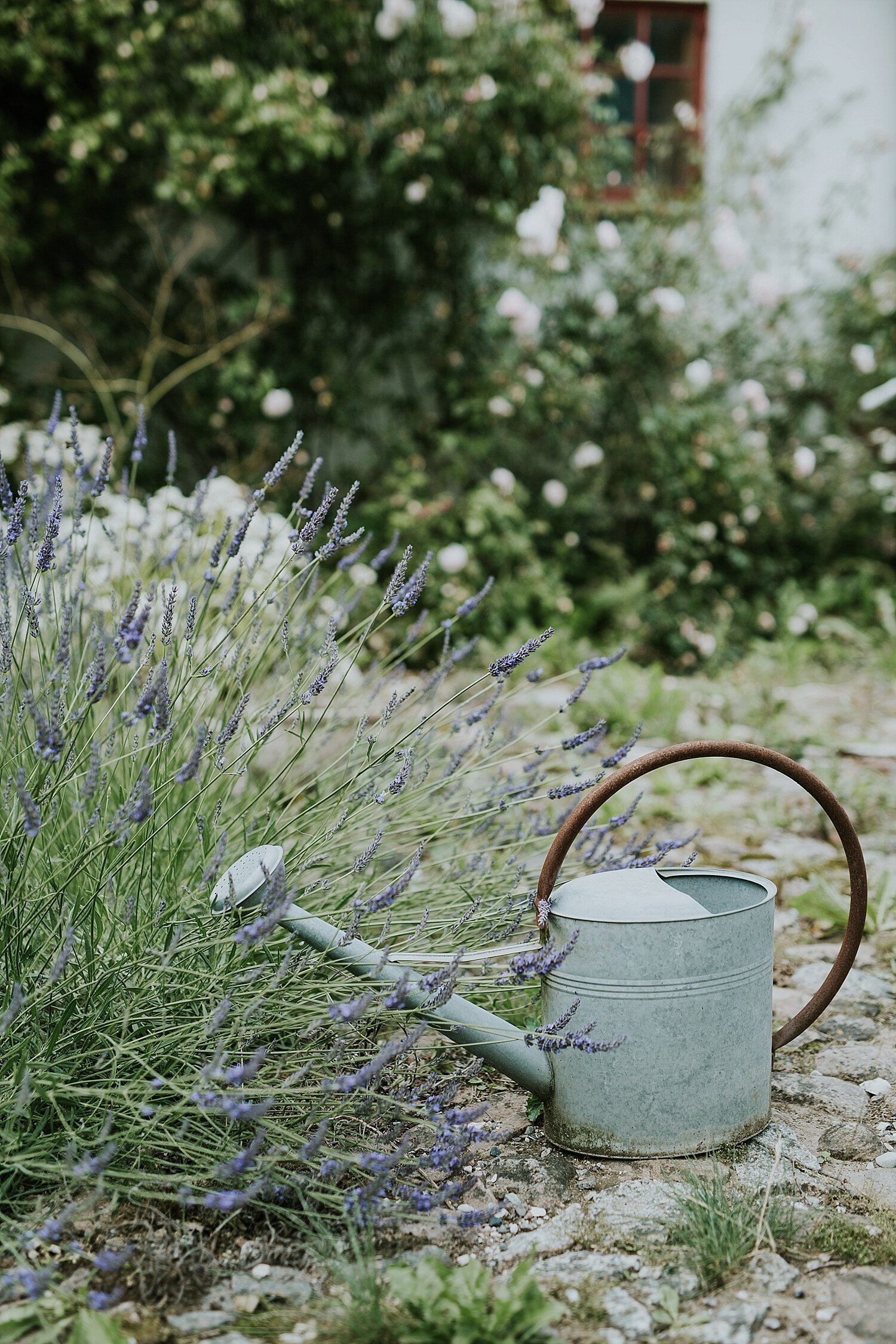 lavender-wedding-flower-inspiration (6).jpg