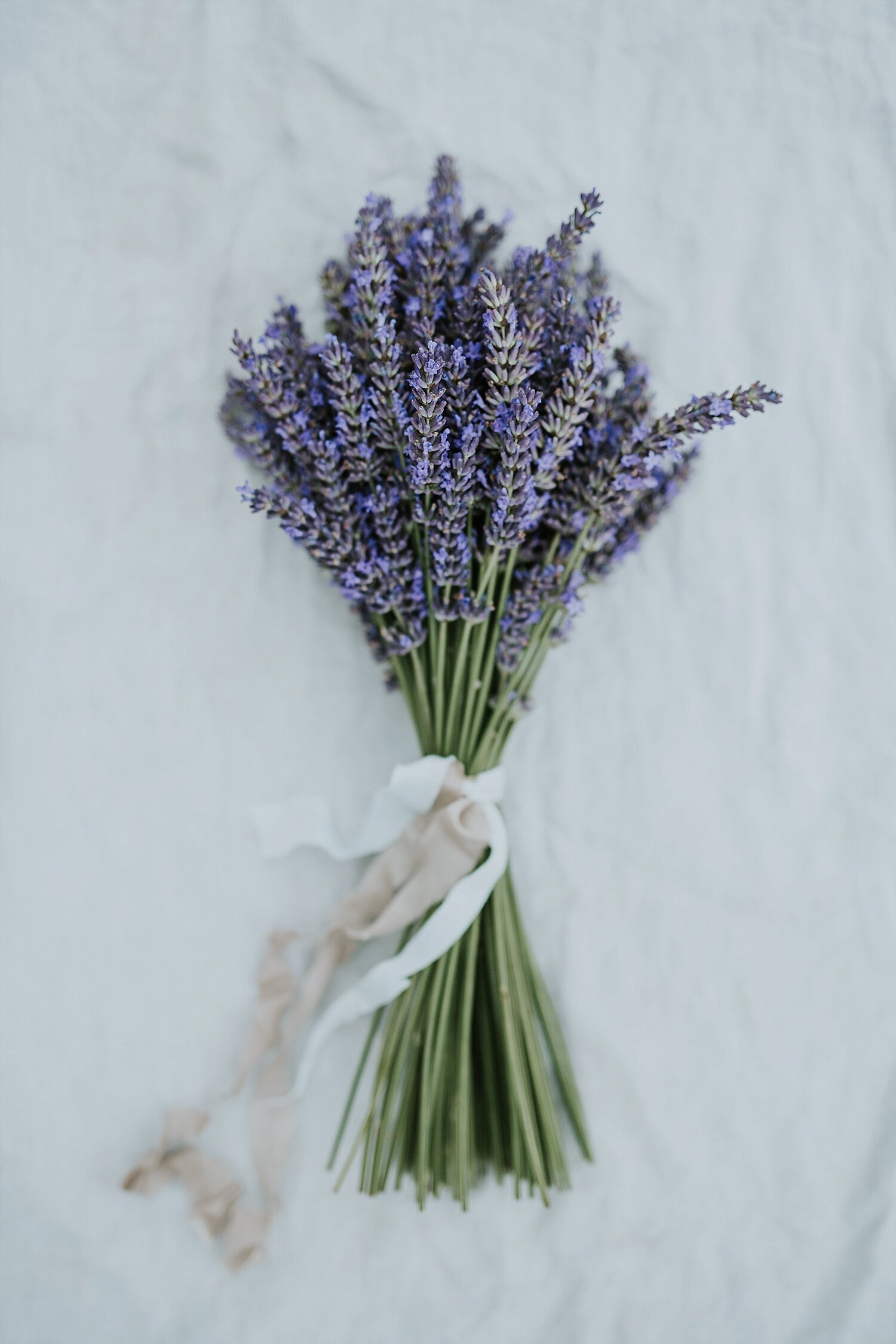lavender-wedding-flower-inspiration (8).jpg