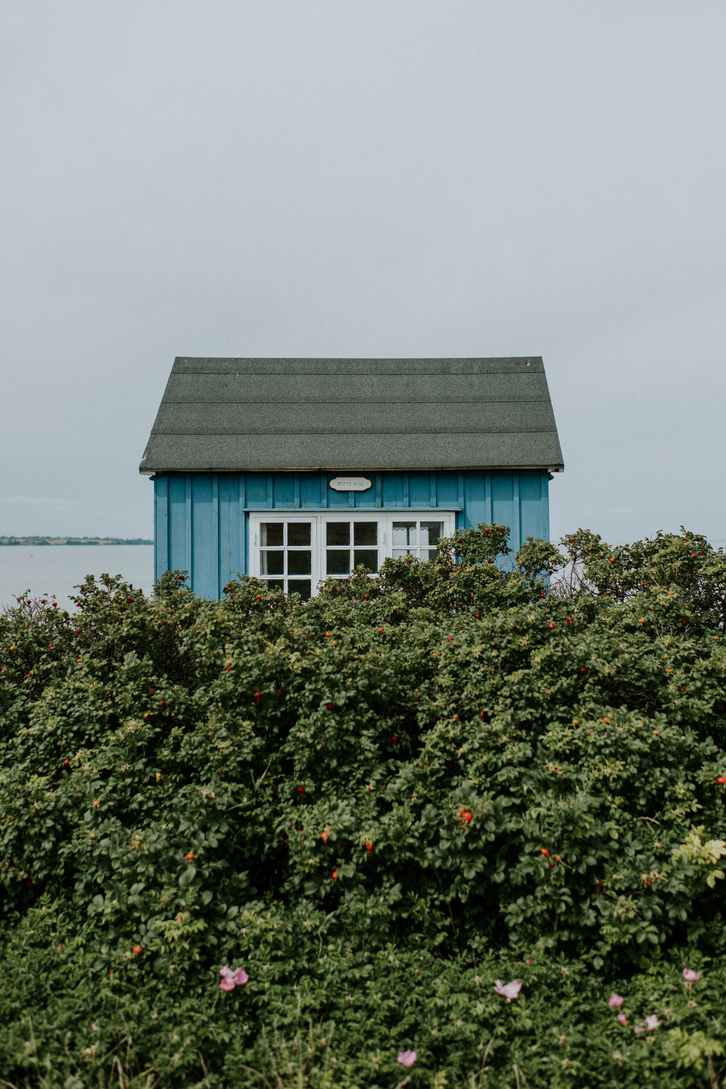 seaside cottage in Aero, Denmark | international weddings | beach weddings | Danish Island Weddings