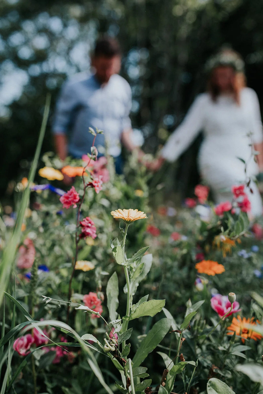 A romantic view of a wedding couple holding hands in soft focus behind vibrant blooming wildflowers. Perfect inspiration for an intimate destination wedding and outdoor elopement honeymoon on Aeroe Island in Denmark.