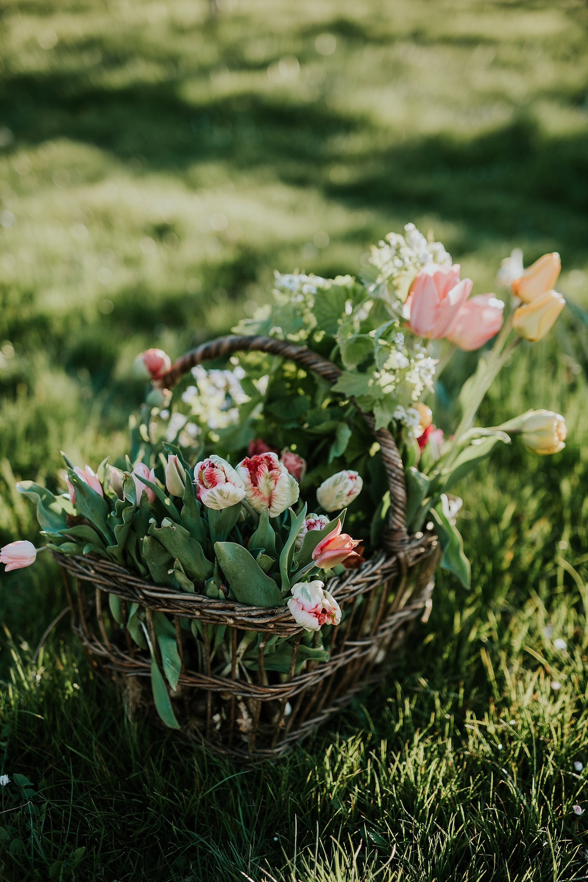 tulips in basket on grass | Denmark wedding planners and florist
