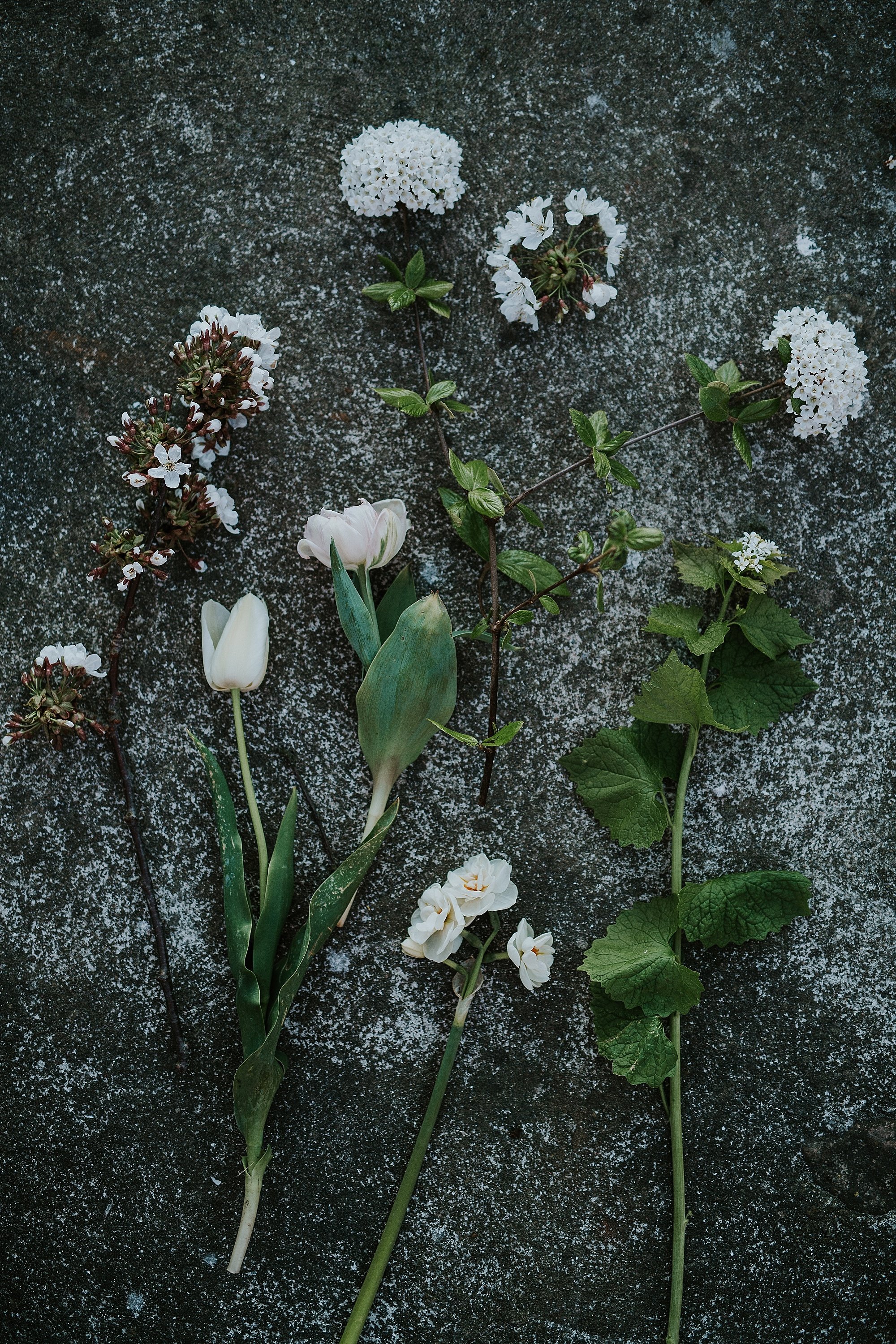 white flower stems | Denmark wedding planners and florist