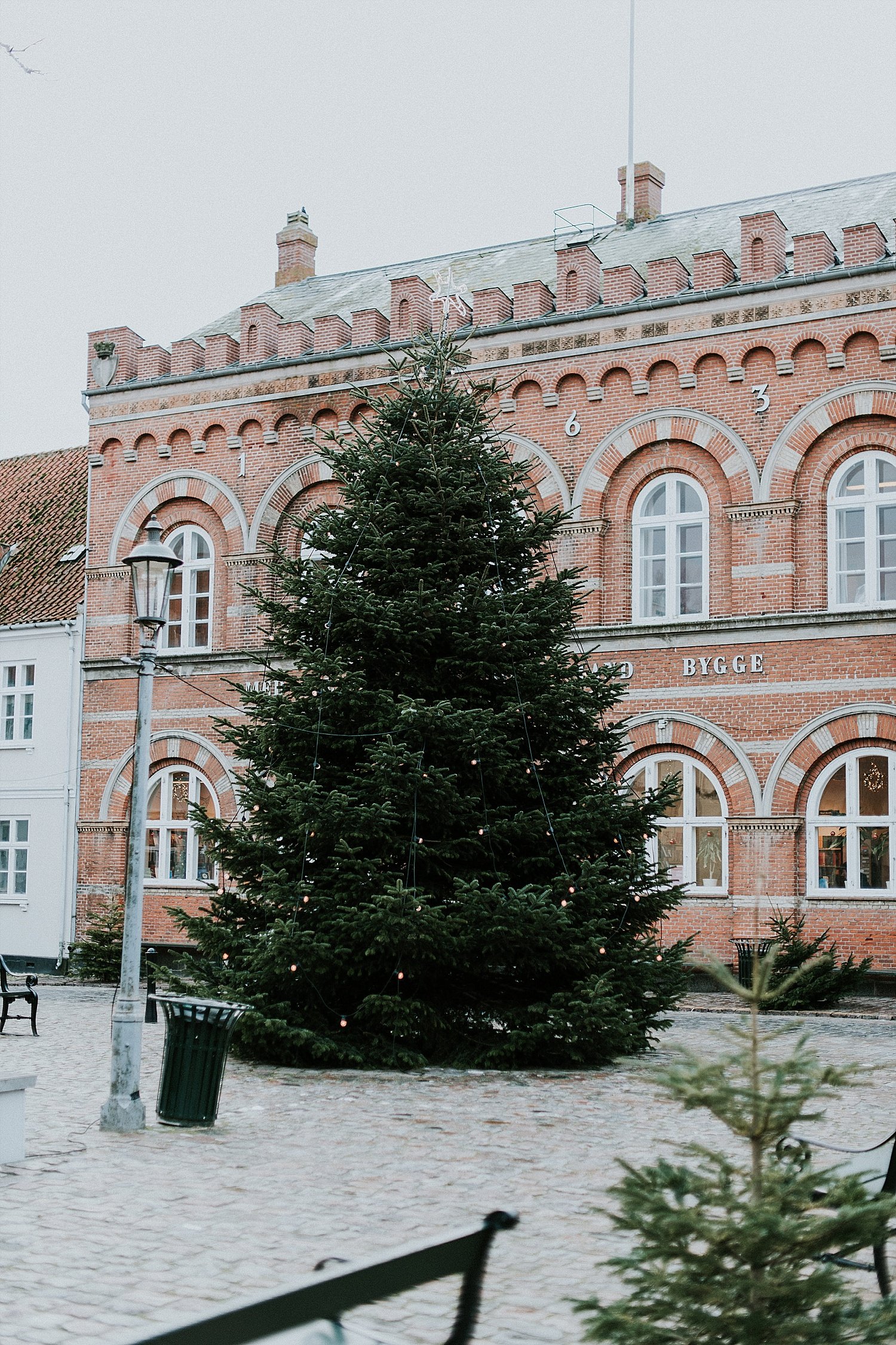 indoor wedding location with beautiful evergreen and snow | winter wedding | destination wedding | get married in Denmark | Aero Island | Danish Island Weddings