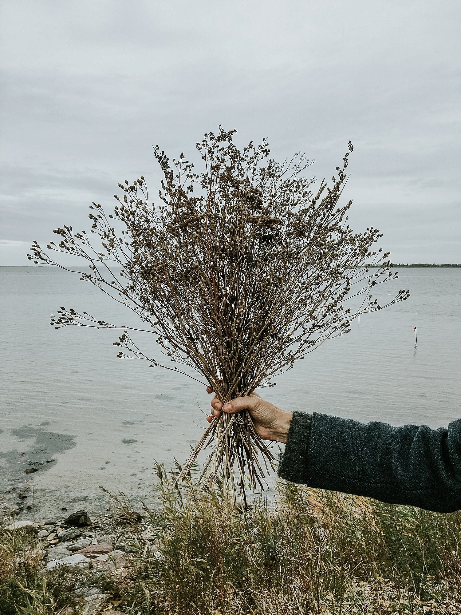 dried flower bouquet | Dried botanicals | muted winter wedding flowers | destination wedding | get married in Denmark | Aero Island | Danish Island Weddings