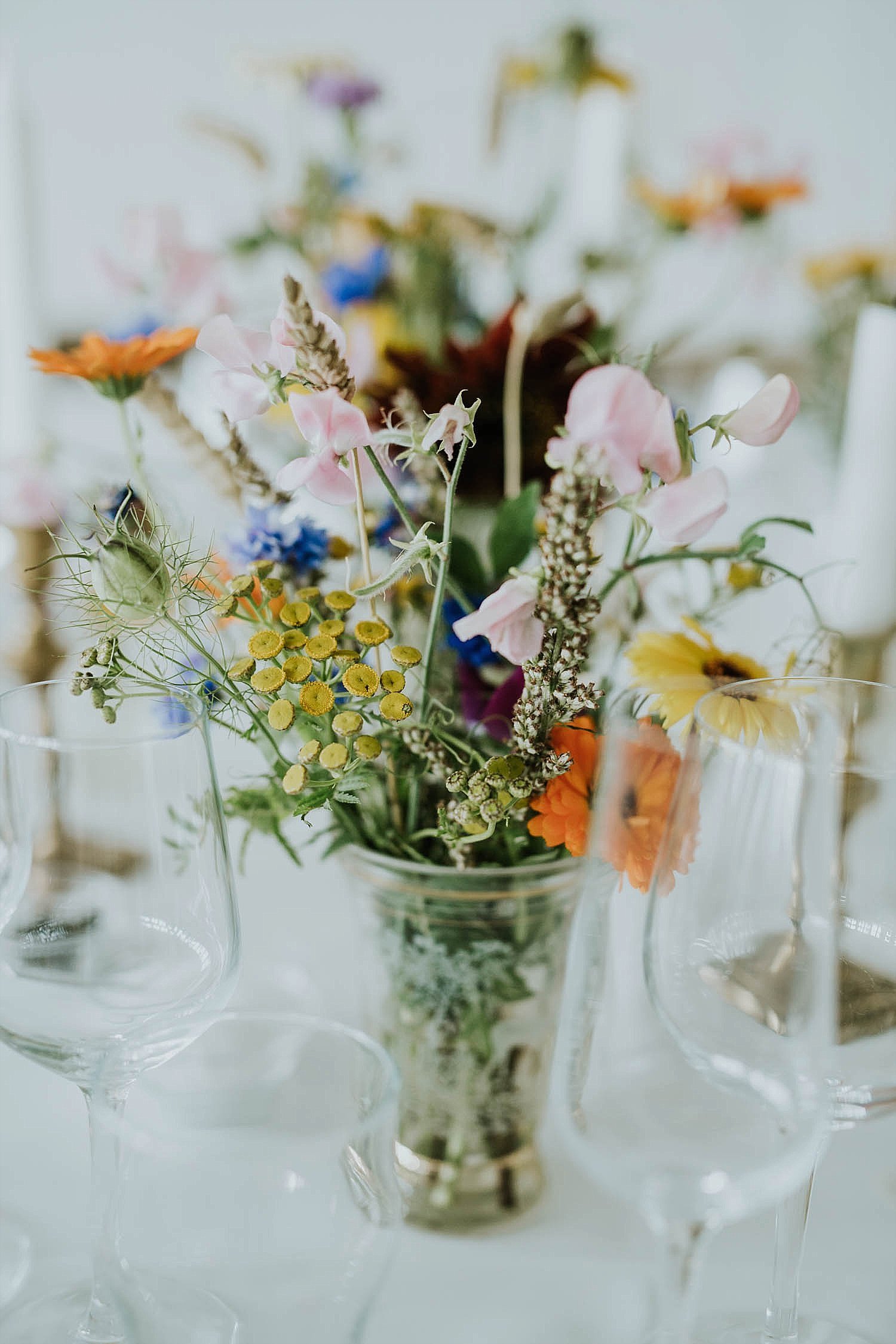 Beautiful wildflowers from garden