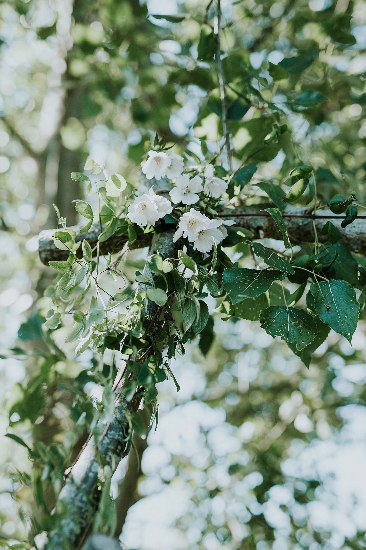 garden wedding flowers and greenery on trellis arch | Aero Island | Danish Island Weddings | Full service Denmark wedding planners