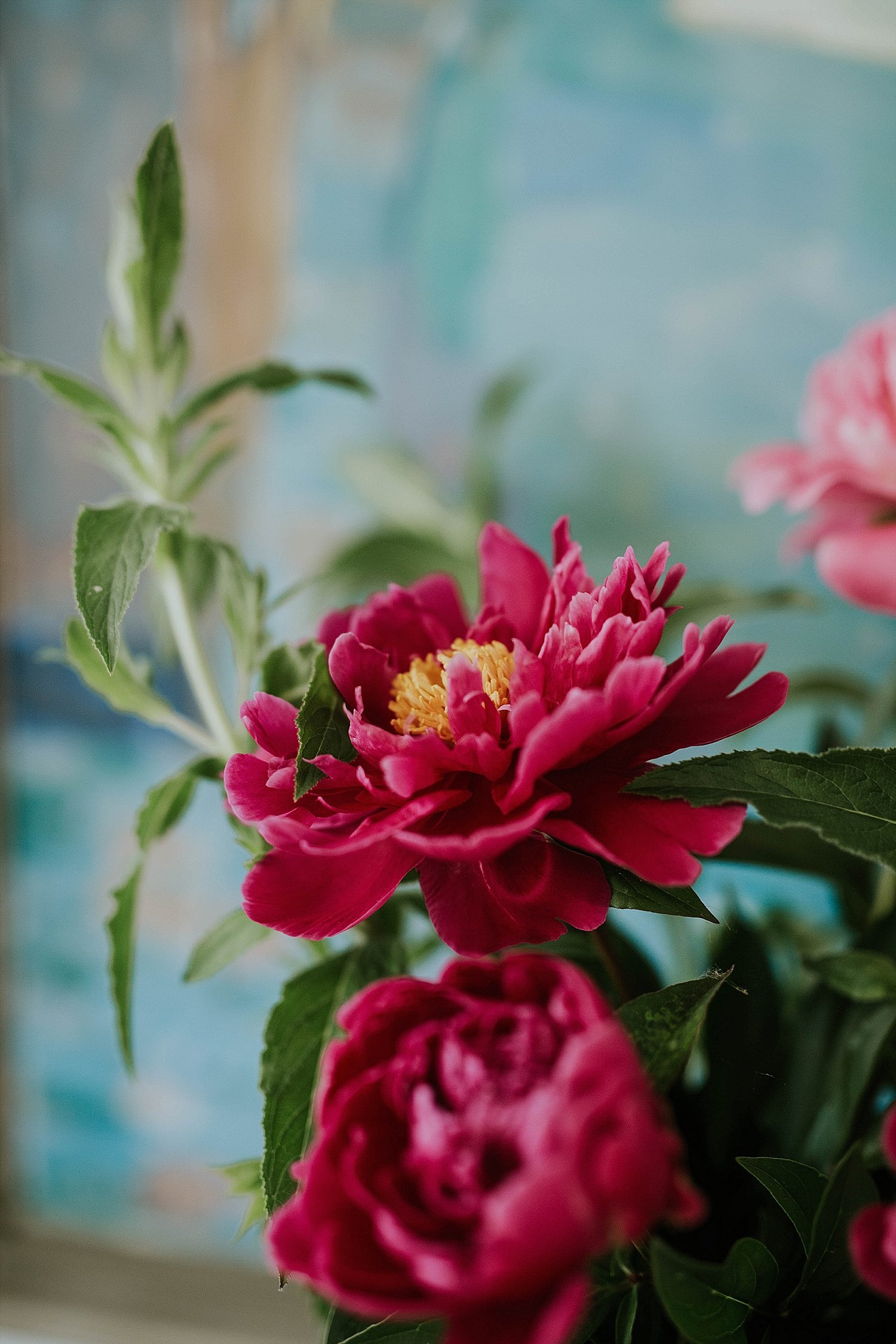 red pink flowers | Aero Island wedding planners | Denmark weddings and florists