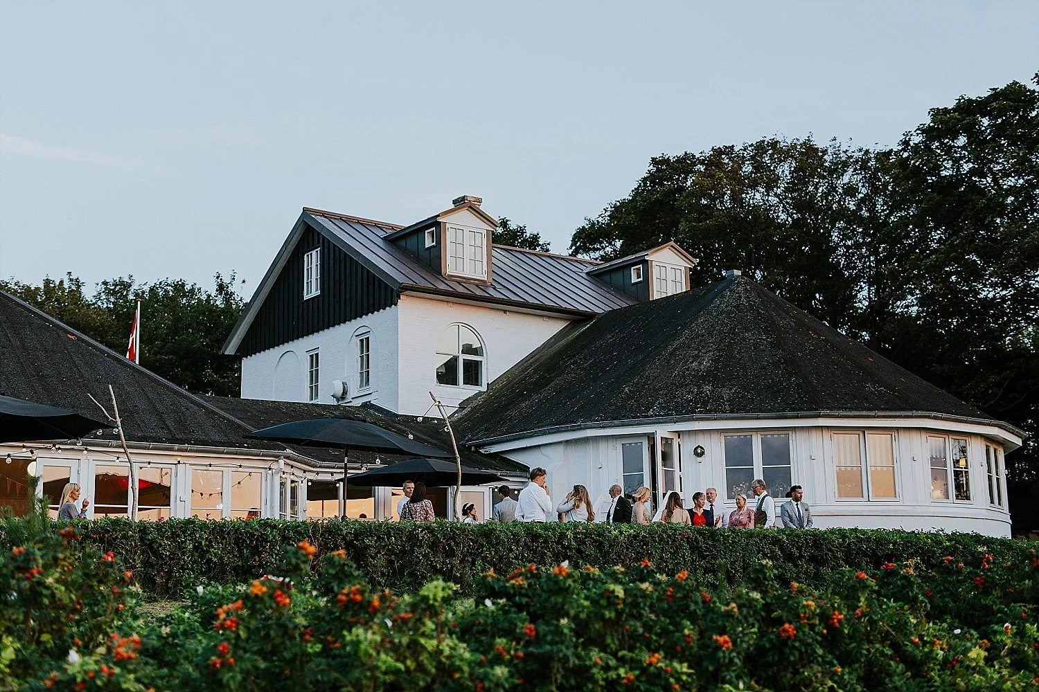 Wedding guests gathered on the terrace at Strandskoven near Vesterstrand surrounded by wild beach roses on Aeroe Island