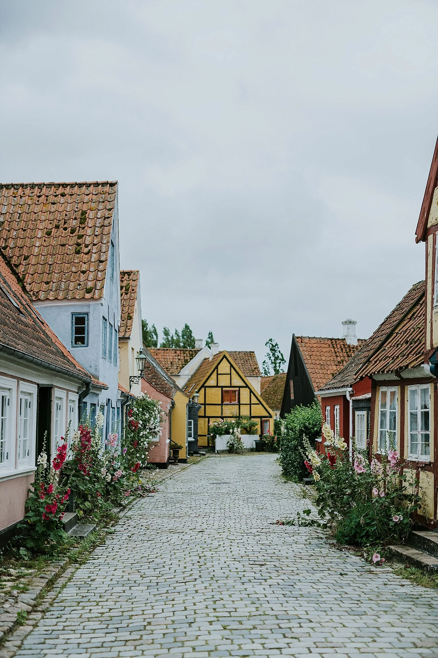 A scenic view of the historic street Noerregade in Aeroeskoebing, lined with blooming hollyhocks and leading towards an iconic yellow half-timbered house. A fairytale setting for an elopement honeymoon on Aeroe Island in Denmark.