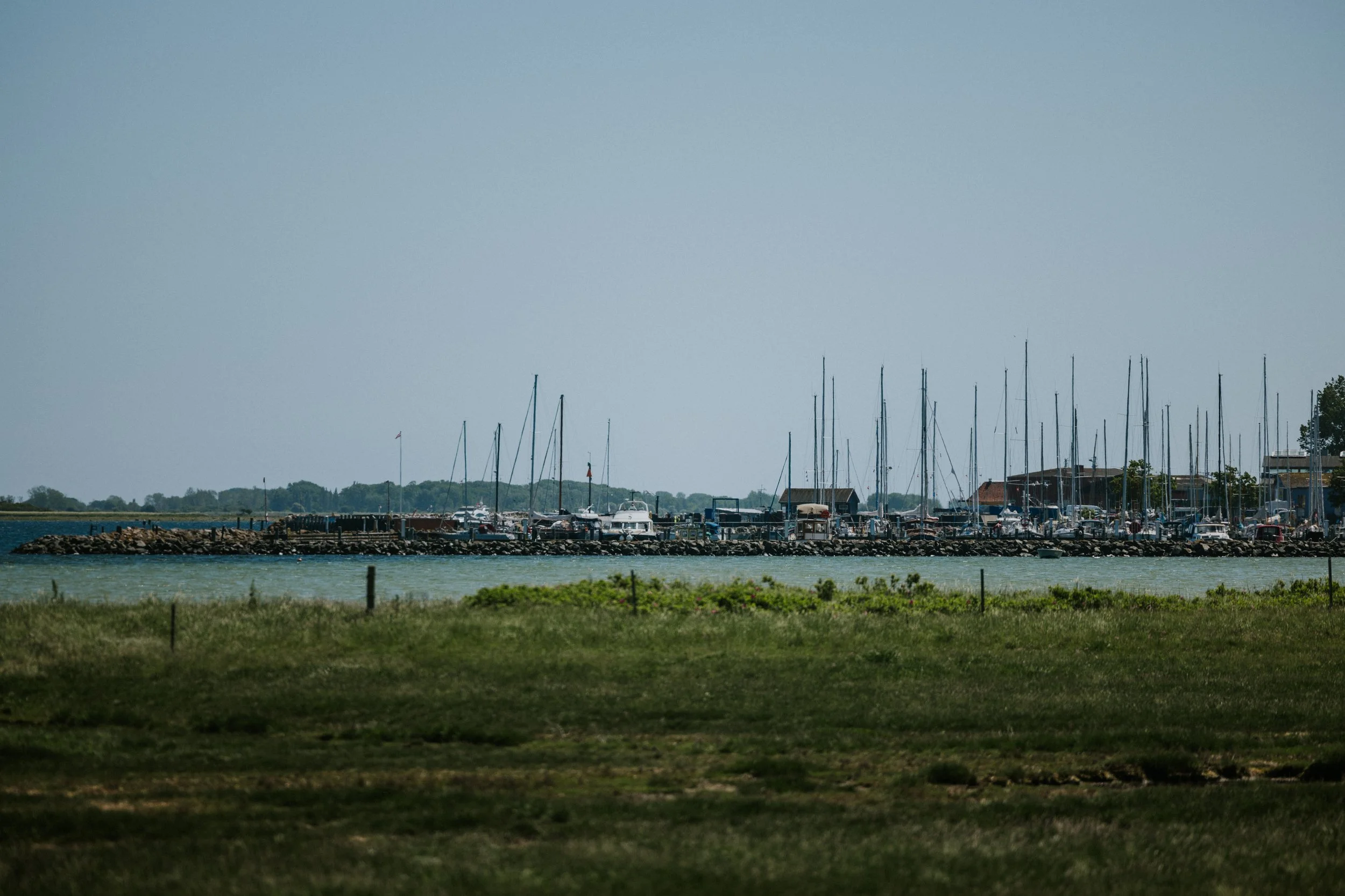 aeroskobing-harbor-boat-masts.jpg