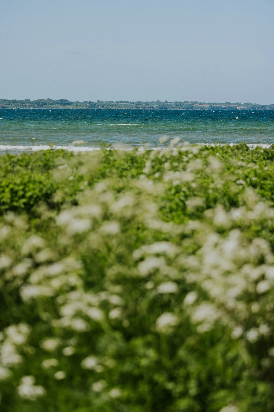 _68A8934.jpg