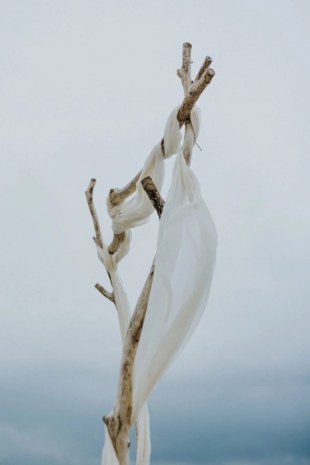 Beach Wedding Backdrop Ideas