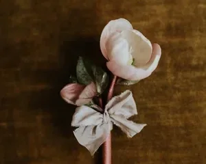 Close-up of a minimalist winter wedding boutonniere featuring a single pale pink hellebore flower wrapped in silk ribbon and tied with a delicate bow, resting on a textured golden-brown velvet background.