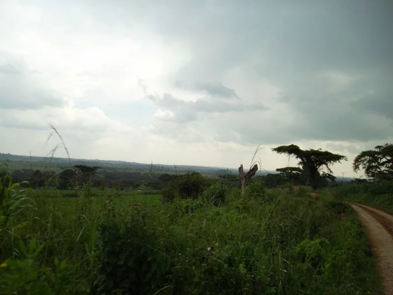SAM_0975.jpg