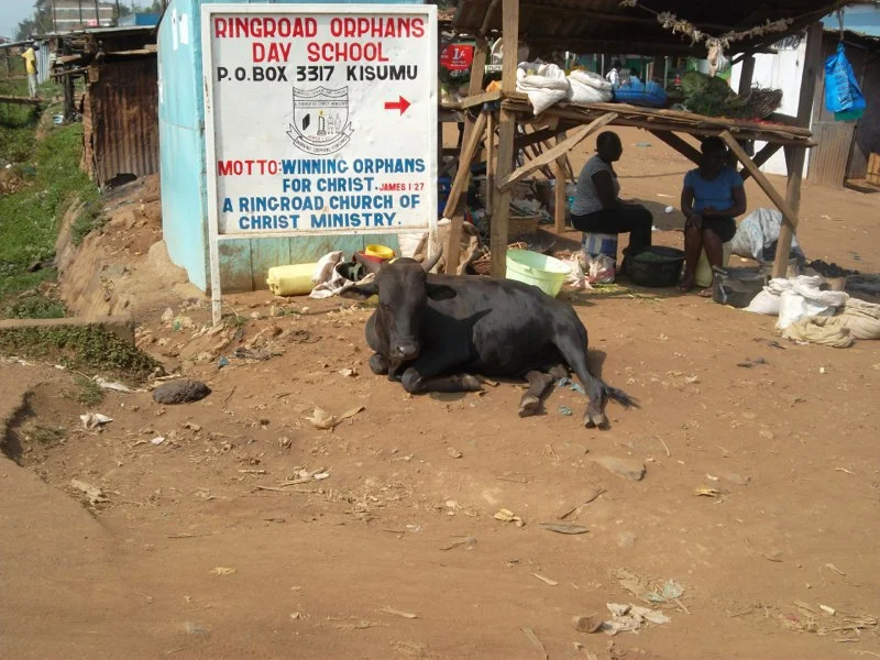 SAM_0109.jpg