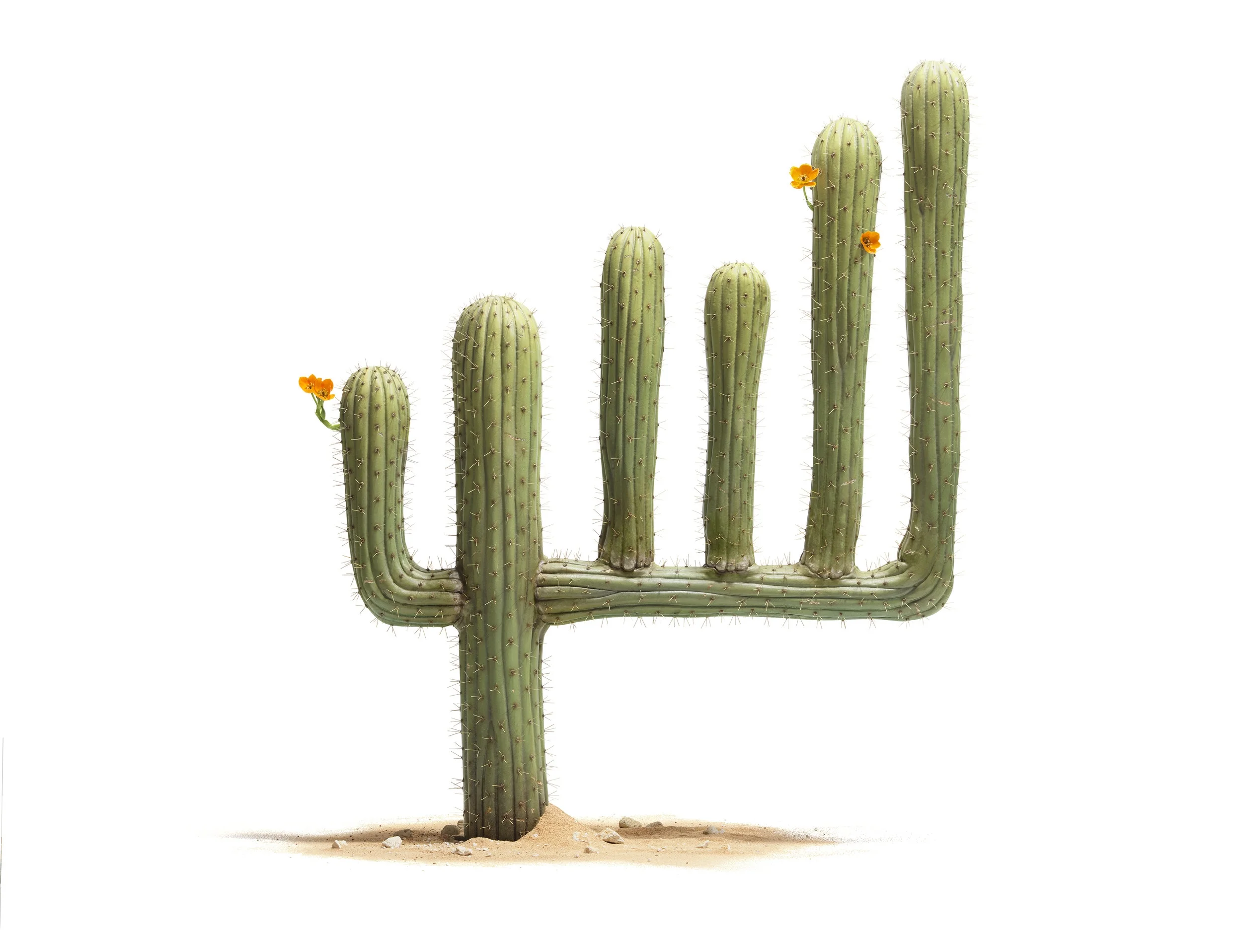 708_AR_HSBC_Cactus_2.jpg