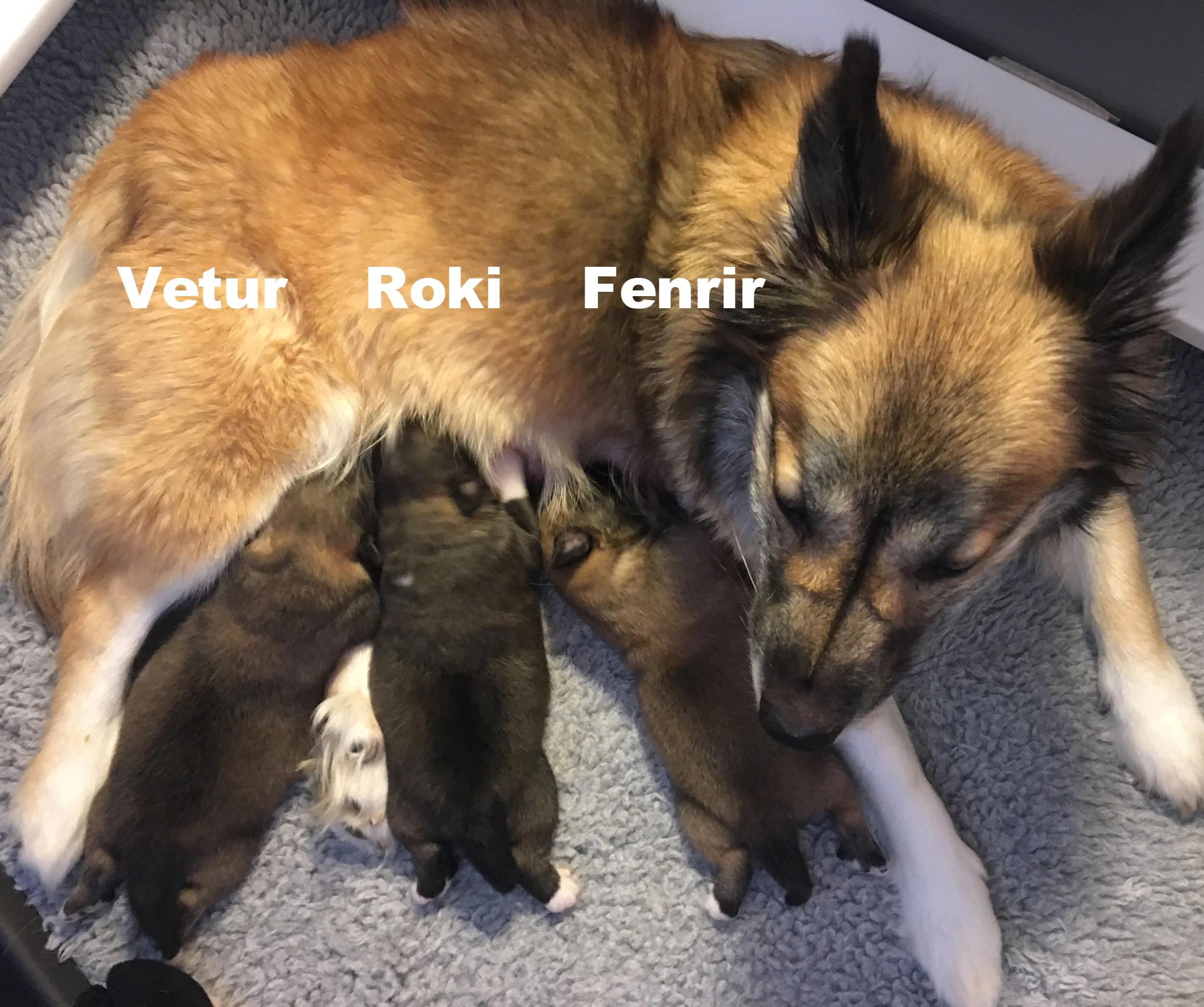 IMG_1720 (Edited).JPG