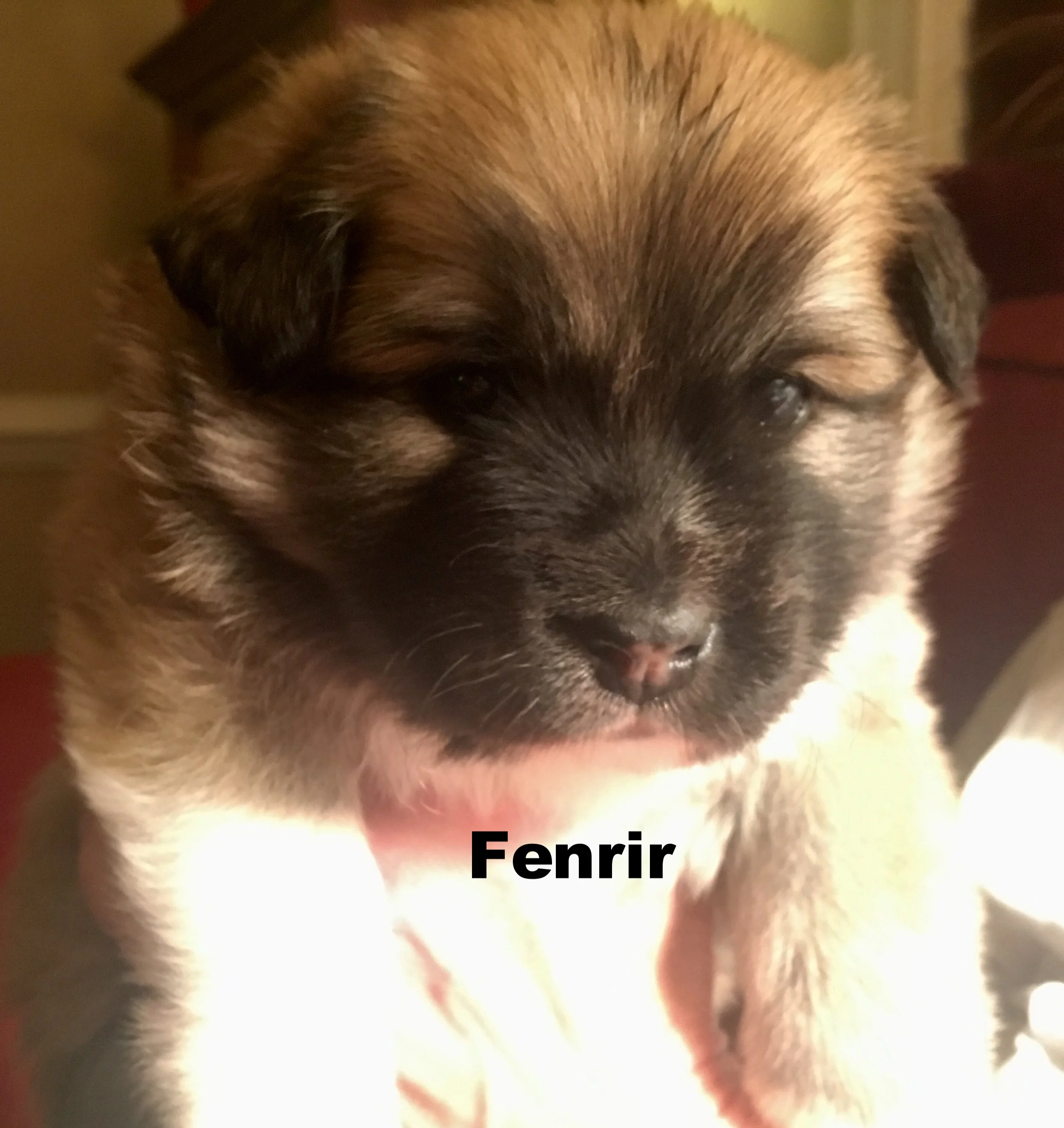 IMG_1923 (Edited).JPG