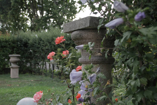 ad0b9385_original.jpg