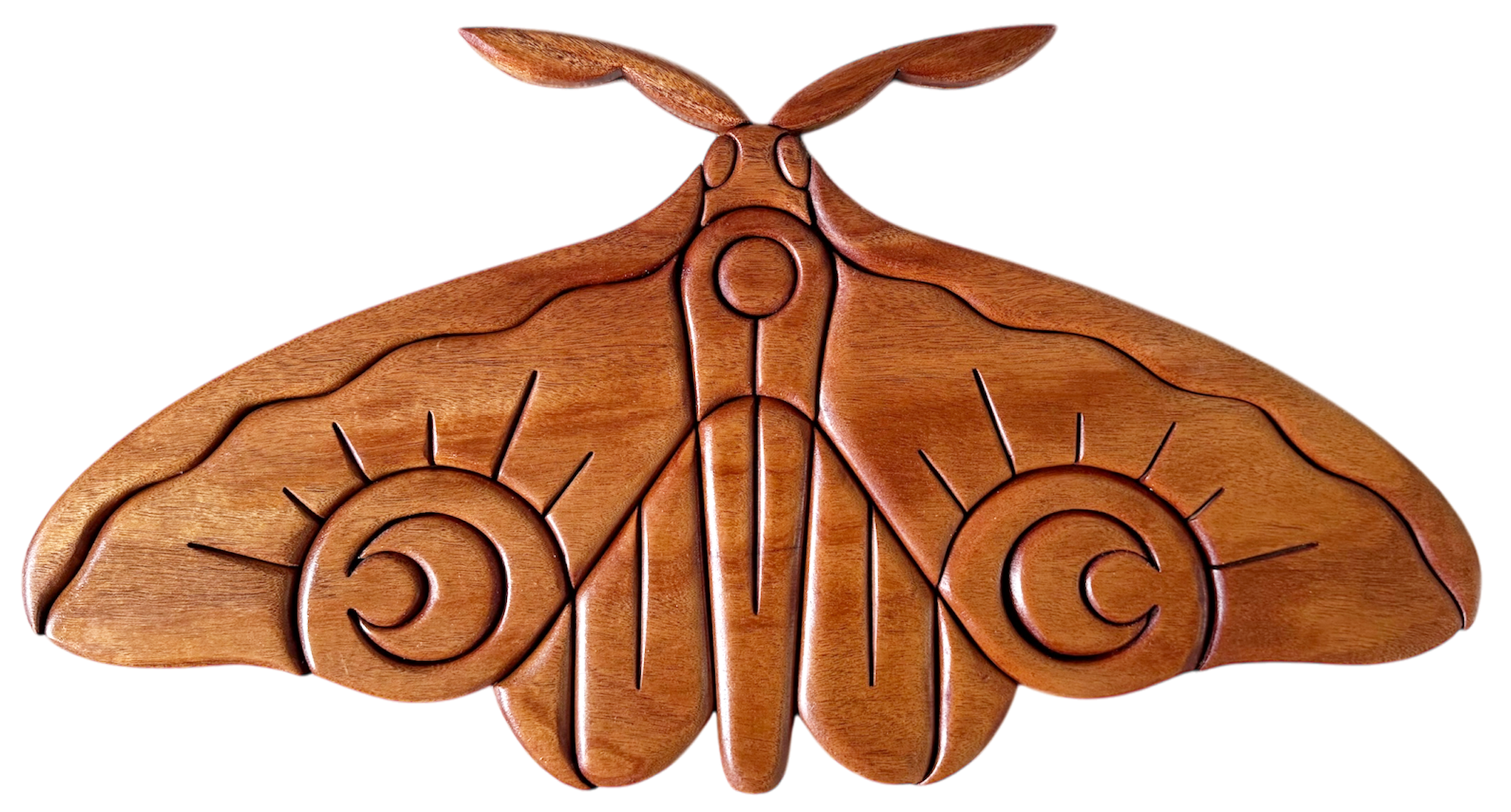 Lunar Moth 30" x 15.5"