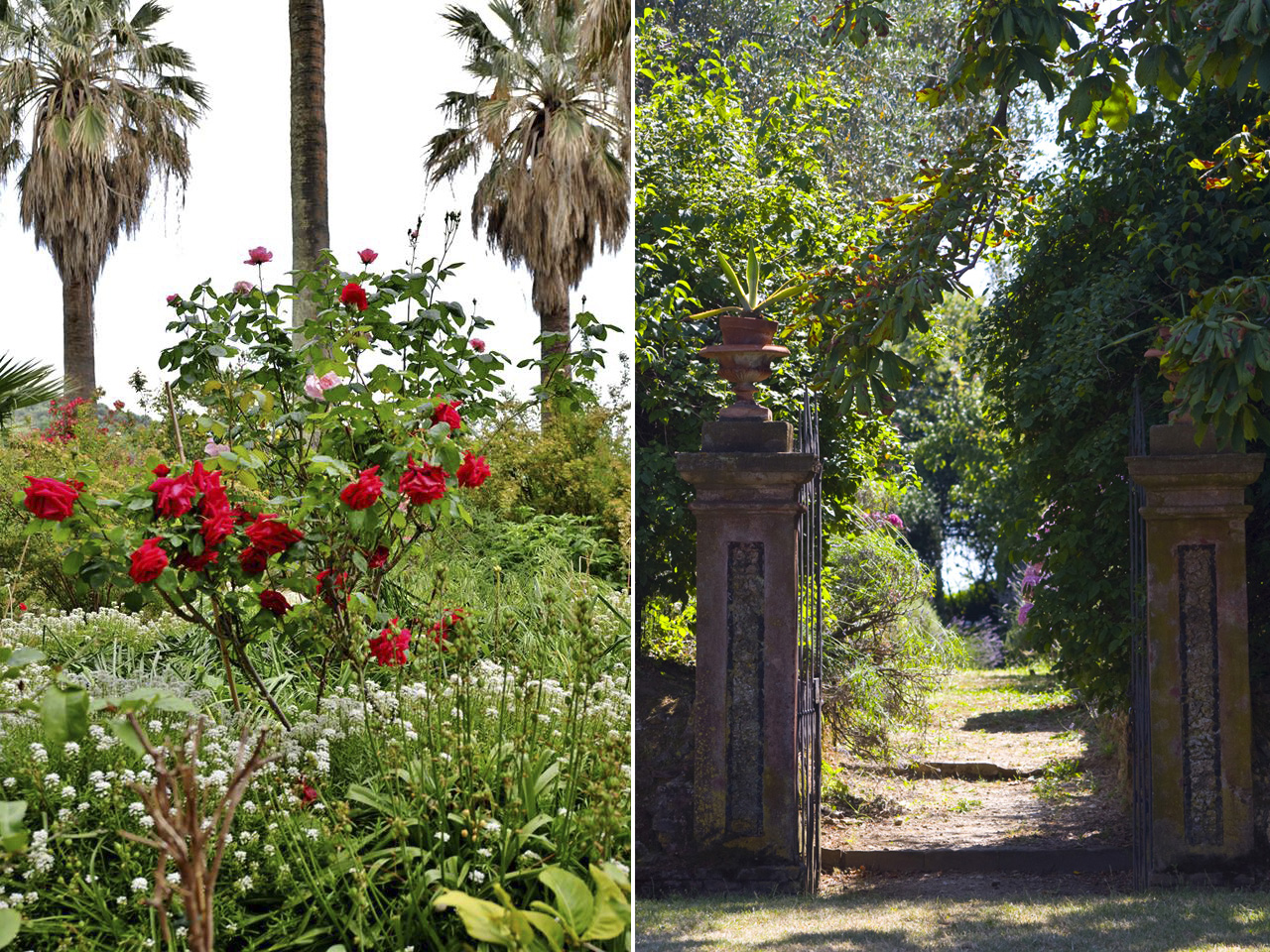 Nei giardini ci sono anche percorsi botanici.