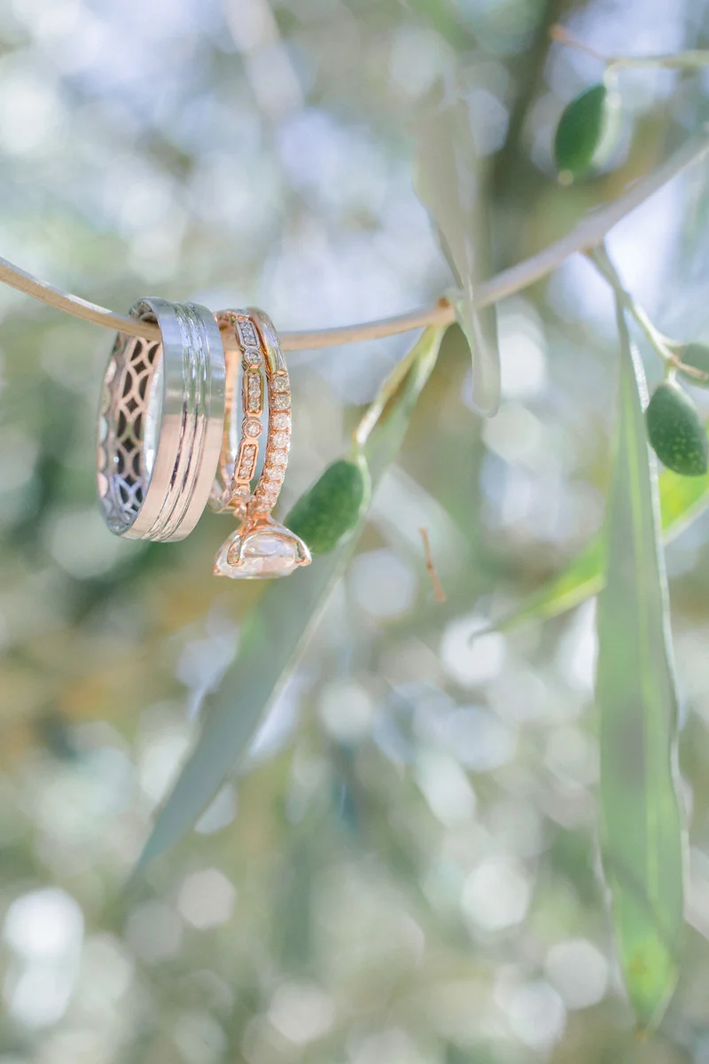 0055_SSw_Calegari_Vineyards_Sonoma_Wedding_Photographer.jpg