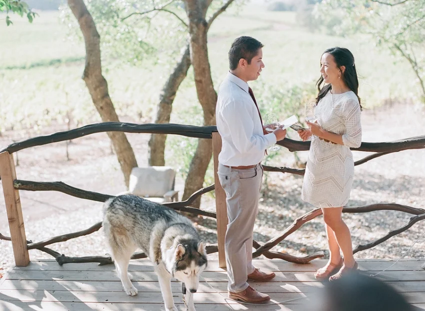 Chappellet Winery Napa Elopement