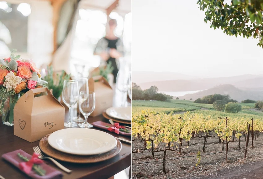 Chappellet Winery Napa Elopement