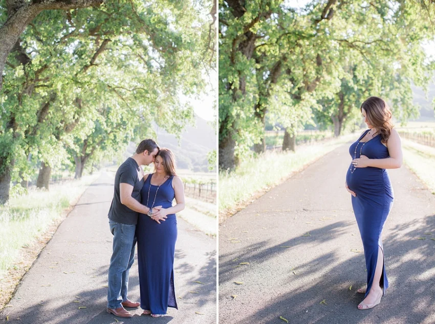 Napa Maternity Photography