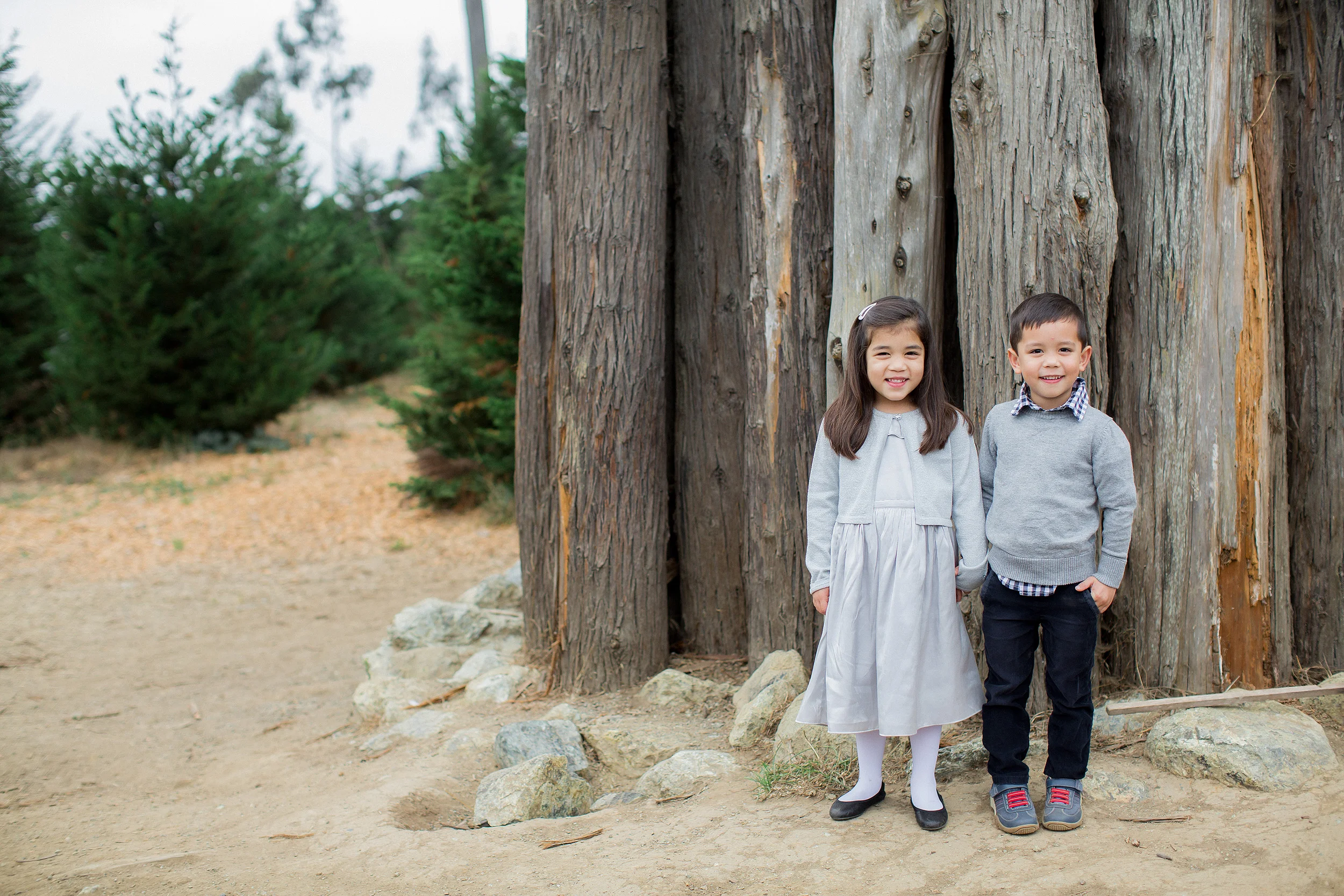 Napa_San_Francisco_Family_Portrait_Photographer0055.jpg
