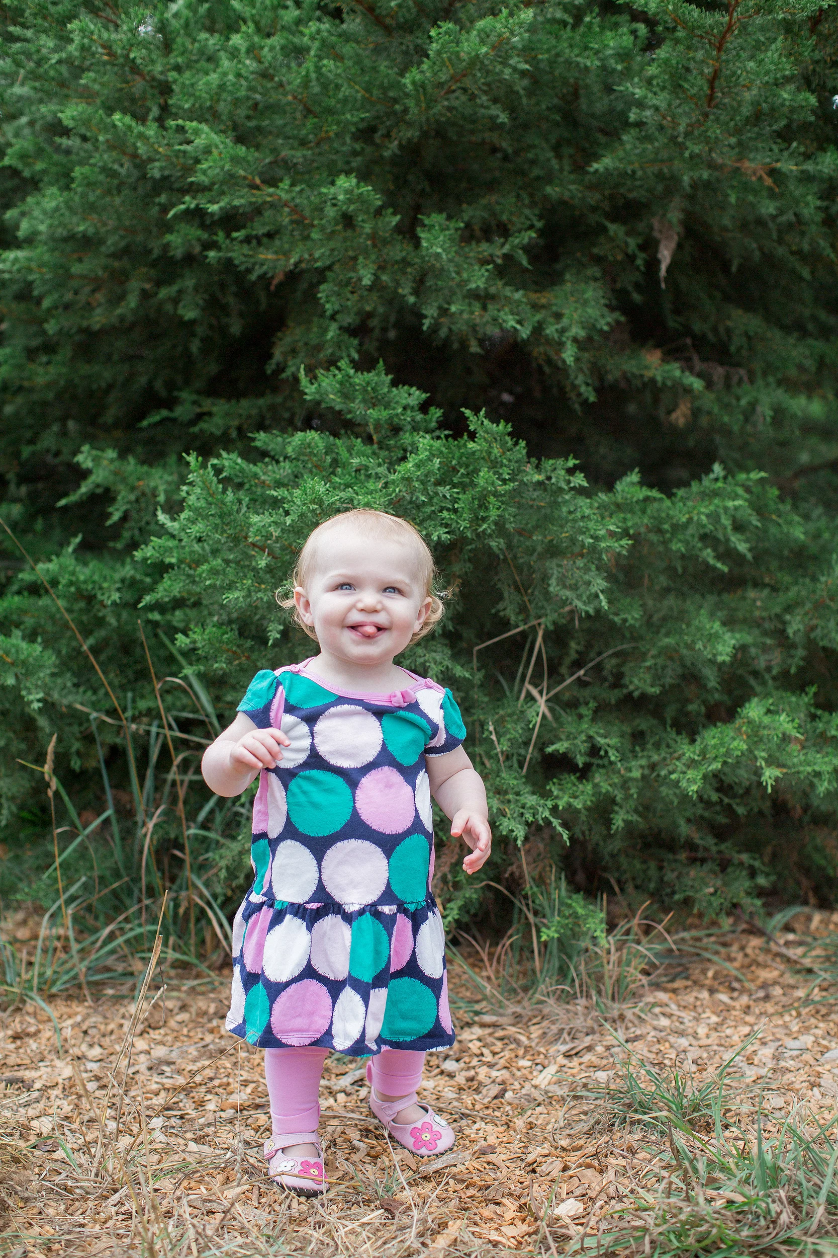 Napa_San_Francisco_Family_Portrait_Photographer0092.jpg