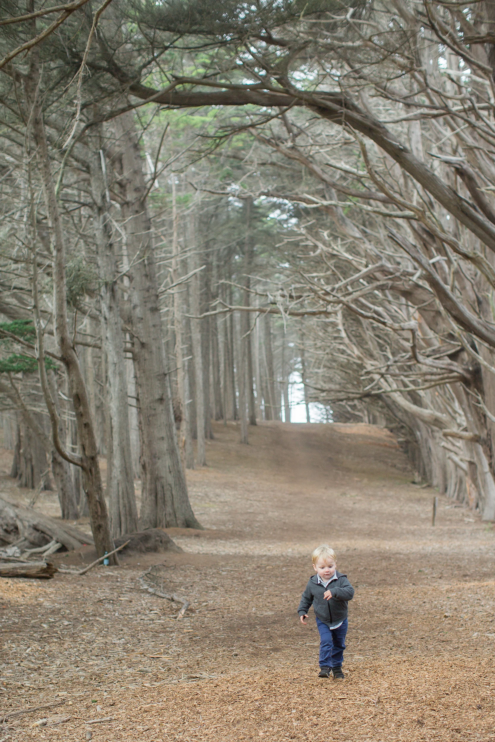 Napa_San_Francisco_Family_Portrait_Photographer0121.jpg