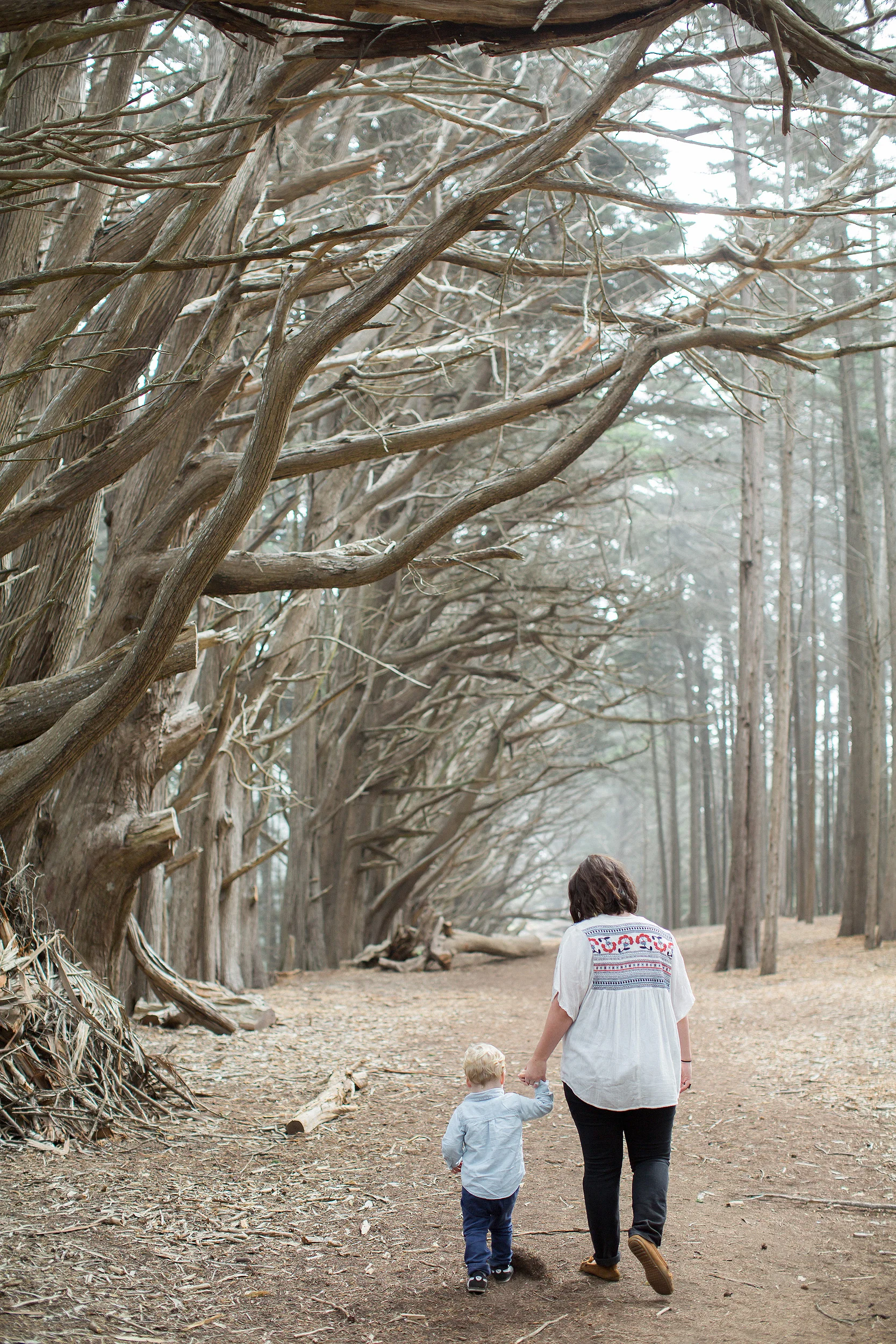 Napa_San_Francisco_Family_Portrait_Photographer0127.jpg