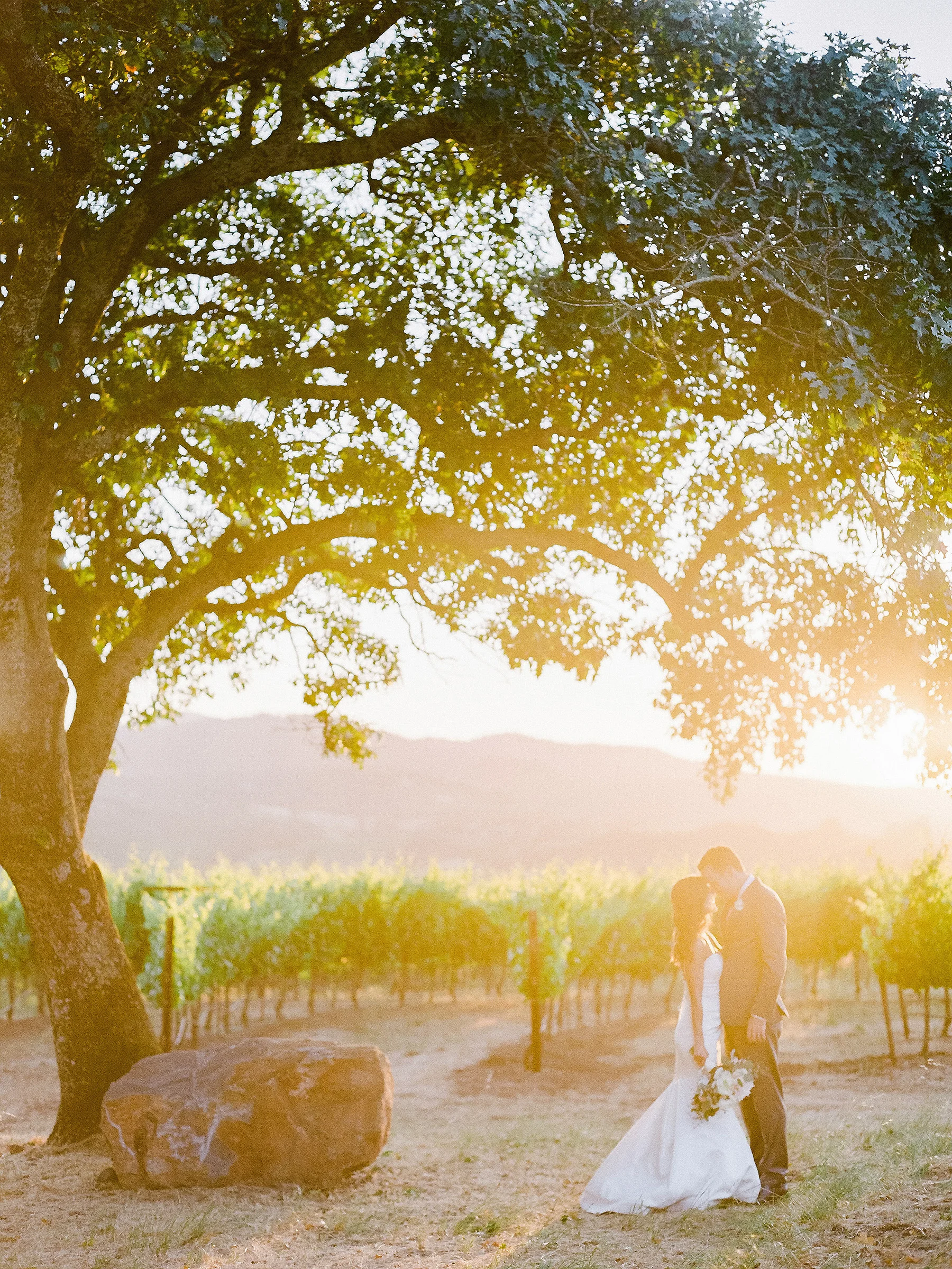 Kunde Winery Wedding in Sonoma