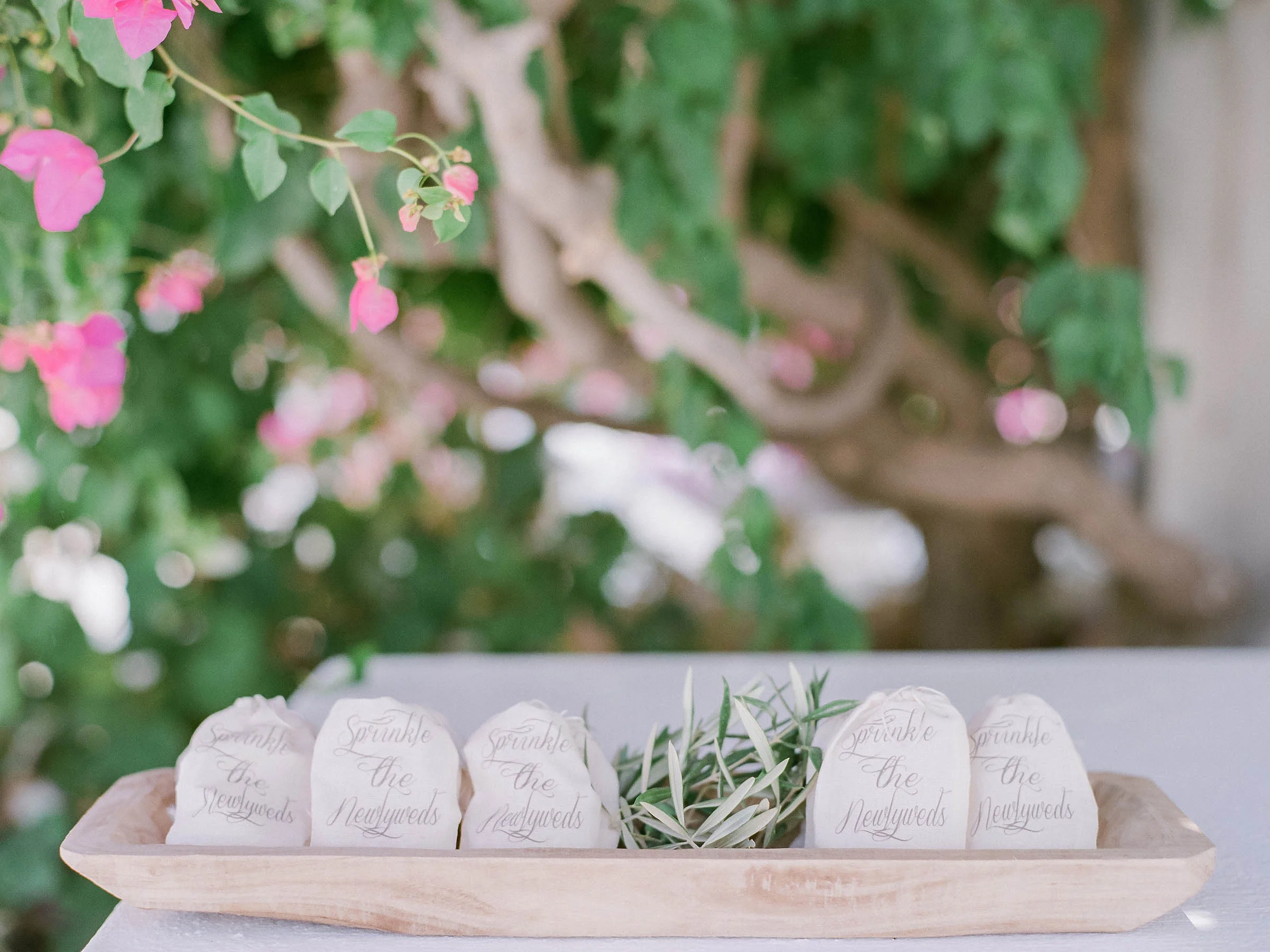 Alexia_Jeremy_Wedding_Highlights_0009.jpg